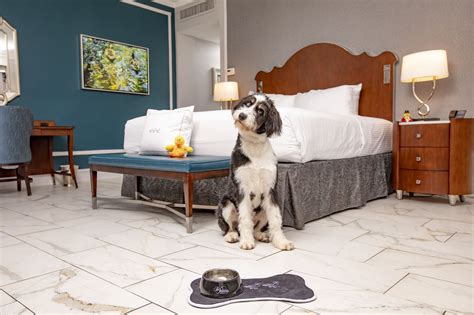 Pet friendly hotels memphis. Hyatt Centric Beale Street Memphis. 33 Beale St, Memphis, TN 38103. Website. Directions. Hyatt Centric Beale Street Memphis welcomes two pets up to 50 lbs for an additional fee of $100 per week. Check Rates. Or, browse all pet friendly hotels in Memphis if … 