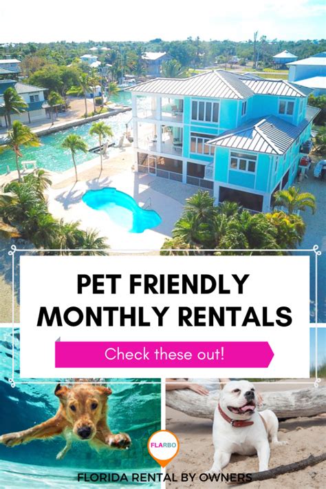 Pet friendly month to month rentals near me. Things To Know About Pet friendly month to month rentals near me. 