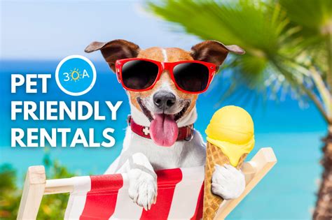 Pet friendly rent. Things To Know About Pet friendly rent. 