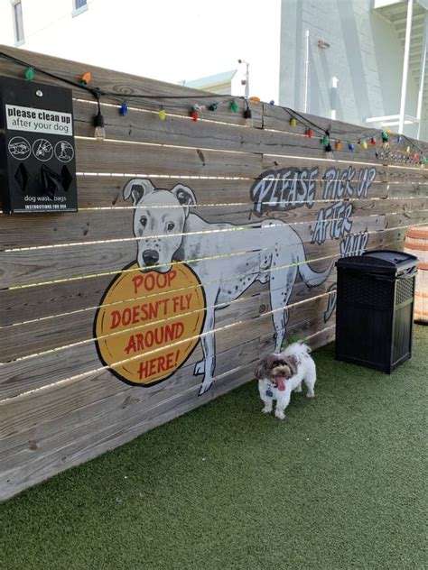 Pet friendly tampa fl. Buddy Brew Coffee Kennedy Blvd Buddy Brew Coffee is a pet-friendly eatery in Tampa, FL, where furry friends can join their owners outside at one of the four tables. Traditional cafe-style drinks are featured on their menu with … 