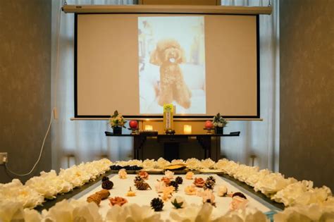 Pet funeral malaysia. .  Create a lasting tribute to your pet Having a proper...