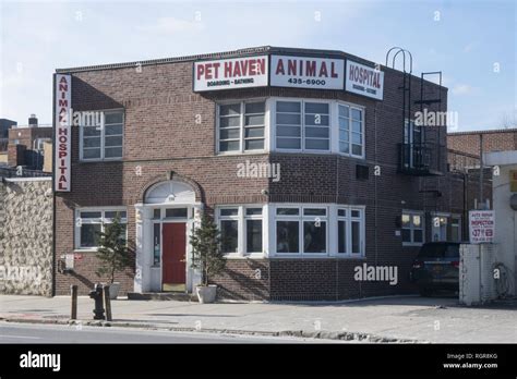 Pet haven brooklyn. .  ...