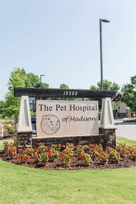 Pet hospital of madison. Things To Know About Pet hospital of madison. 