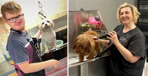 Pet in Need Gets a Helping Hand