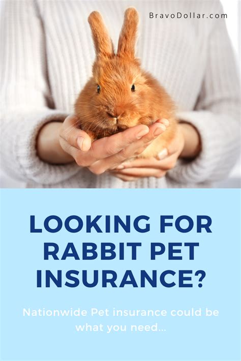 Pet insurance for rabbits. Rabbit insurance. If you want to protect your bunny in their time of need, rabbit insurance can help safeguard you and your pet against any unexpected care costs. Compared to cats and dogs, rabbits are easier to maintain as pets. However, they could still benefit from the right pet insurance. If your rabbit develops an illness or is injured and ... 