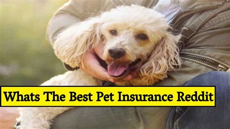 Pet insurance reddit. Find the best posts and communities about Pet Insurance on Reddit. 