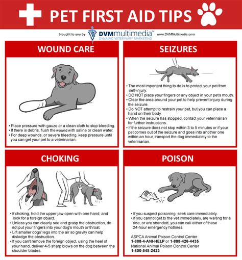 Pet lover guide to first aid and emergencies. - Mccormick international harvester 434 workshop manual.