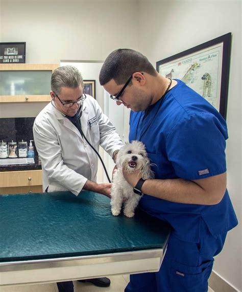 Pet lovers animal clinic. Things To Know About Pet lovers animal clinic. 