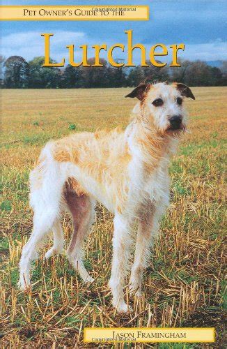 Pet owners guide to the lurcher. - 2004 mercedes ml55 amg owners manual.
