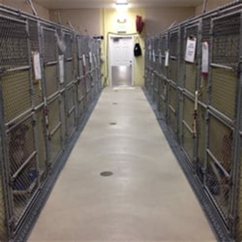 Pet pal animal shelter. Learn more about Pinellas County Animal Services in Largo, FL, and search the available pets they have up for adoption on Petfinder. Pinellas County Animal Services in Largo, FL has pets available for adoption. 