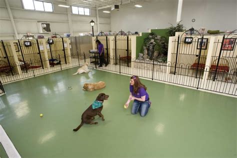 Pet palace. Pet Palace, Indianapolis, Indiana. 426 likes · 2 talking about this · 185 were here. Dog Day Care Center 