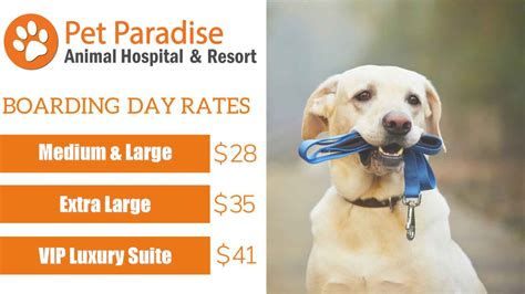 Pet paradise bartram. Not that we need an excuse to love on your pets even MORE than usual, but February is the month of LOVE and we are taking advantage of it. 