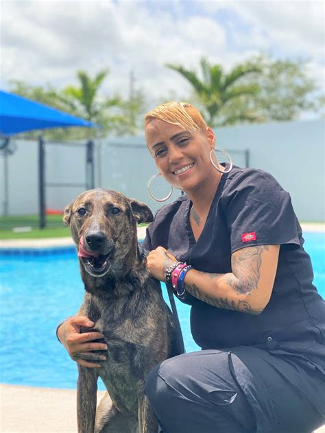 Pet Paradise Coconut Creek is a veterinarian clinic that offers various services, such as vaccinations, exams, dentistry, and surgery. It is located at 4181 W Hillsboro Blvd, …. 