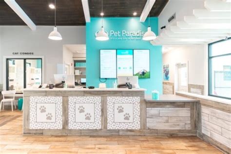 Pet paradise lake nona. Happy National Puppy Day to our tiniest guests that keep us on our toes! #mypetparadise #puppylove #orlando #lakenona #puppylife 