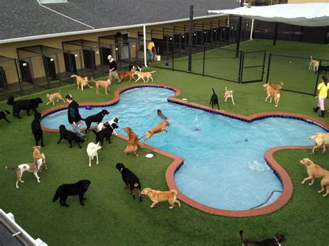 Pet Paradise is a chain of dog-friendly boarding facilities which serve as your best friend's home away from home. Offering premium care for Fido and peace of mind for dog owners, the location in Bonita Springs, FL, has a convenient early-drop off, climate controlled kennels, a veterinary clinic, and all-important water play!