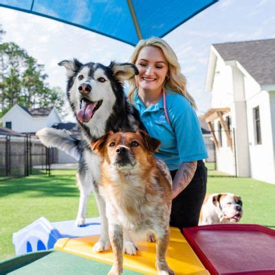 Pet paradise oakleaf reviews. Thursday: 6:30AM - 7PM. Friday: 6:30AM - 7PM. Saturday: 9AM - 5PM. Sunday: 9AM - 5PM. Read what people in North Chesterfield are saying about their experience with Pet Paradise Chesterfield at 1214 Koger Center Blvd - hours, phone number, address and map. 