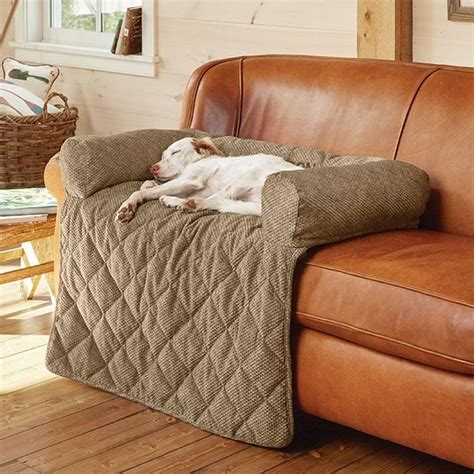 Pet proof couch. 11. A mid-century modern-inspired couch with a wide enough back for your cats and small dogs to comfortably lay on. The fabric is a combination of high-quality synthetic materials (65% nylon, 35% ... 