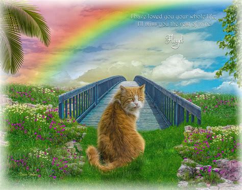 Pet rainbow bridge. Once you cross the bridge, a sign reading a version of the Rainbow Bridge poem awaits you, reminding you of the purpose of the bridge and remembering your pet. The original Rainbow Bridge story ... 