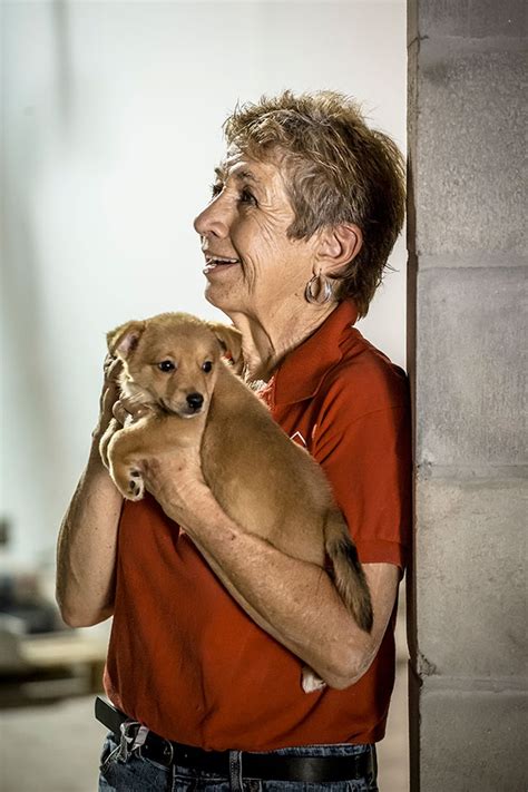 Pet rescue by judy. Things To Know About Pet rescue by judy. 