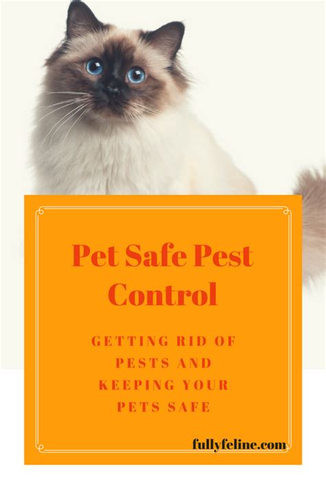 Pet safe pest control. 