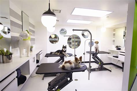 Pet salons. How our "at-home" pet grooming works. Schedule and book grooming slot online - 7 days a week. Pet Groomer brings all the equipment at your home. Your Fur Baby enjoys a full salon grooming service sitting at home. Hassle-free service - your house is clean like before. All Pet groomers have professional experience of More than 3+ Years. 