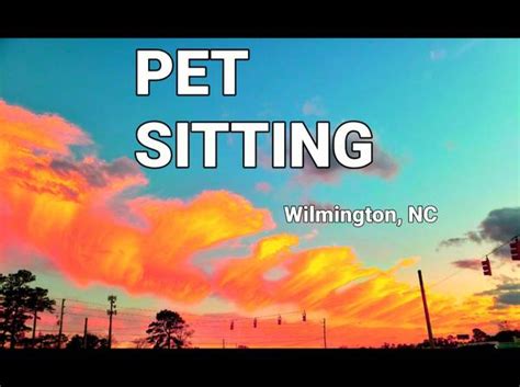 I am an experienced Pet Sitter, for 17 years and also have worked in veterinary clinics for 16 years. I have a great love and passion for all animals. Walking …. 