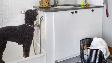 Pet spas, built-in feeding nooks to pamper pets emerge as real estate trends