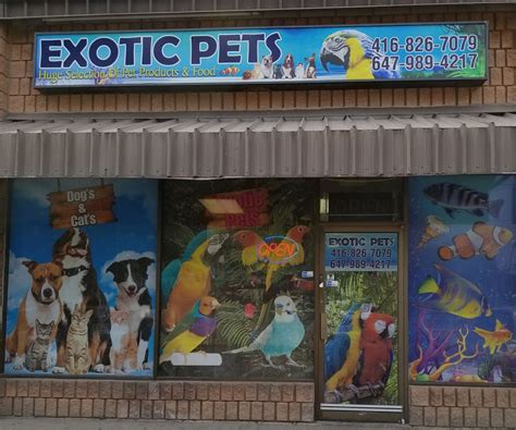 Best Pet Stores in Tucson, AZ - Pawsh, Animal King