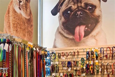 Pet store south portland maine. Things To Know About Pet store south portland maine. 