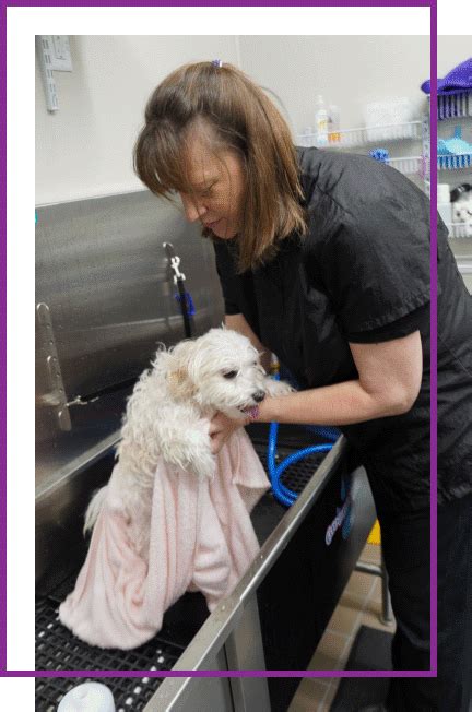 Specialties: Our business specializes in pet grooming we groom all breeds of dogs and cats. We offer friendly service and can typically get you in for an appointment with in 24 hrs of your call. Established in 2005. We were established in 2005 but changed ownership in January of 2015. We have always been a full service grooming salon that offer cage free …. 