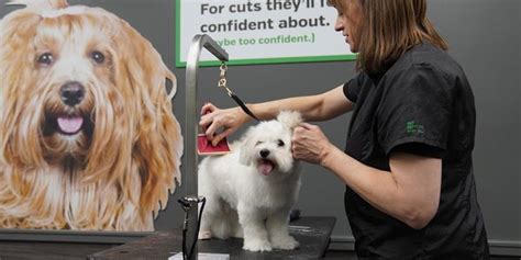 Grooming Safety. Trust your pet’s wellbeing in our expe