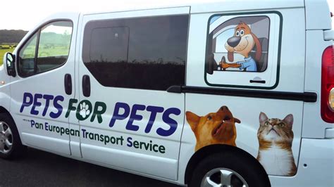 Pet transport service. Welcome to Exec Pets, your trusted partner for safe and hassle-free cat and dog transportation service! We are proud to fully comply with DEFRA regulations, prioritising the safety and welfare of animals during transit. Please contact us and check out our video for more information on our pet transport service! Click Here To More Videos. 