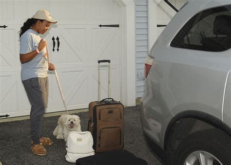 Pet travel aphis. Considerations for Airline Travel. Airlines and shipping lines have their own policies and requirements for transporting pets. Check with your airline or shipping representative to determine what requirements they may have. Additional information for pet owners, airlines, and others about APHIS endorsement of international health … 