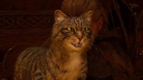 Pet valhalla.  Correction: You must pet the hefty Viking cats in Assassin's Creed Valhalla.  How...