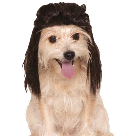 Pet wigs. Things To Know About Pet wigs. 