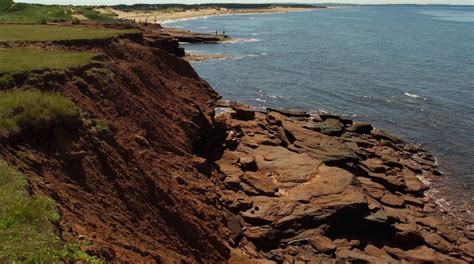 Pet-friendly Hotels in Wellington, Prince Edward Island, Canada