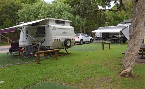 Pet-friendly camping near Byron Bay, New South Wales