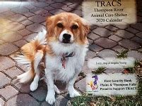 TRACS Services Directions to Shelter Shelter Needs 2020 Newsletter Adoptable Pets Adoptable Dogs Adoptable Birds Adoptable Cats How to Adopt Guest Articles The Essentials of Caring for a Senior Pet The Best Apps for New Puppy Parents 7 Tips for Downsizing with a Pet Staging a Home For Sale with Pets Petfinder View of Adoptable Dogs 