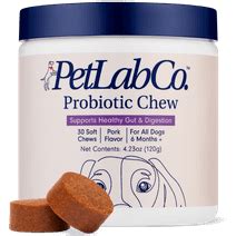 PetLab Co. - Dog Upset Tummy? Help Them With These Herbs!