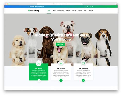 PetSitting Pet Website HTML Template DesignHooks
