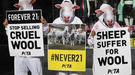 Peta advert banned for