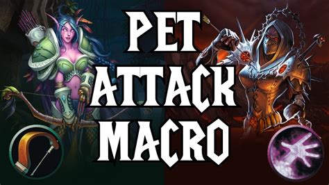 Petattack macro. Yeah, sounds like best idea. I did some testing and after 50 seconds on every spider (same level), mashing macro with petattack without, my pet attacked (all spells disabled btw, just pure autos) consistently 56 times with macro mashing, 60 without (counting blocks, parries, dodges). Maybe this as start combat macro? 