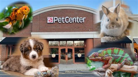 Petcenter old bridge nj. PetCenter Old Bridge. 732-970-3373. Toggle navigation. PetCenter Old Bridge Cavalier King Charles Spaniel Home; Available Puppies; Extras. 3-Year Health Warranty; Dog Breeds; ... The Shoppes at Old Bridge 3833 US 9 Old Bridge, NJ 08857 . Store Hours. Monday - Saturday 10am - 8pm Sunday 11am - 6pm. 