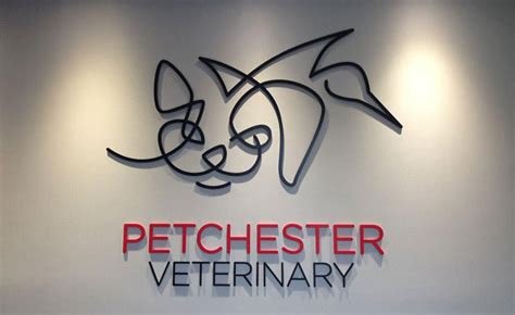 Petchester - 1.3K views, 6 likes, 7 loves, 1 comments, 25 shares, Facebook Watch Videos from Petchester Veterinary: PETCHESTER'S DAILY DOG Typical border collie wisdom.