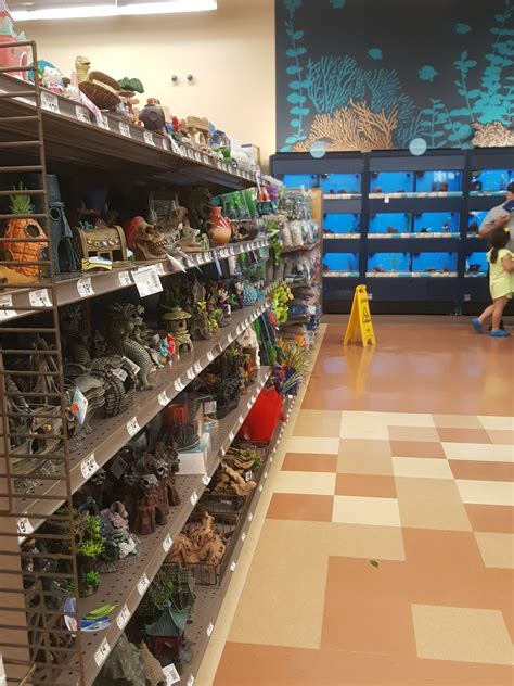 Petco animal supplies doral fl. Some after-effects of tornadoes are fatalities and injuries to people and animals, damaged or destroyed buildings, water supply contamination and loss of services. Ongoing effects ... 