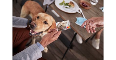 Petco Pay Credit Card - Home - Bread FinancialApply for a Petco Pay Credit Card and enjoy exclusive benefits and rewards for your pet purchases. You can manage your account, pay your bill, update your information and more online. Plus, earn 2X points at Petco with Petco Pay.. 