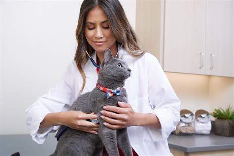 Petco cat clinic. Vetco Vaccination Clinic. 11111 San Jose Blvd. #57. Jacksonville, FL 32223. Get Directions. (904) 260-3225. Book a Vaccination Appointment. Manage Your Appointment. 
