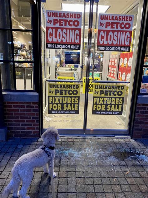 Petco closing. Things To Know About Petco closing. 