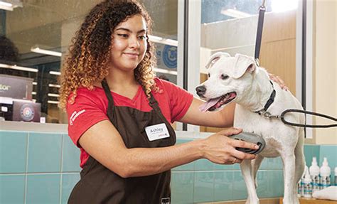 Visit your local Petco at 13089 Hwy 9 N in Milton, GA for all of your animal nutrition, grooming, and health needs.