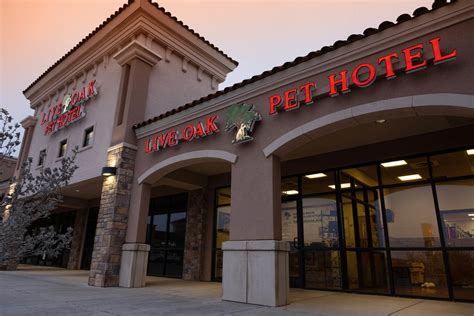 Petco lubbock. Petco. Animal Hospital. Write a Review. 3327 S Bristol St. Santa Ana, CA 92704-7245. Get Directions. (657) 900-8731. Book a Vet Appointment. Manage Your Appointment. 